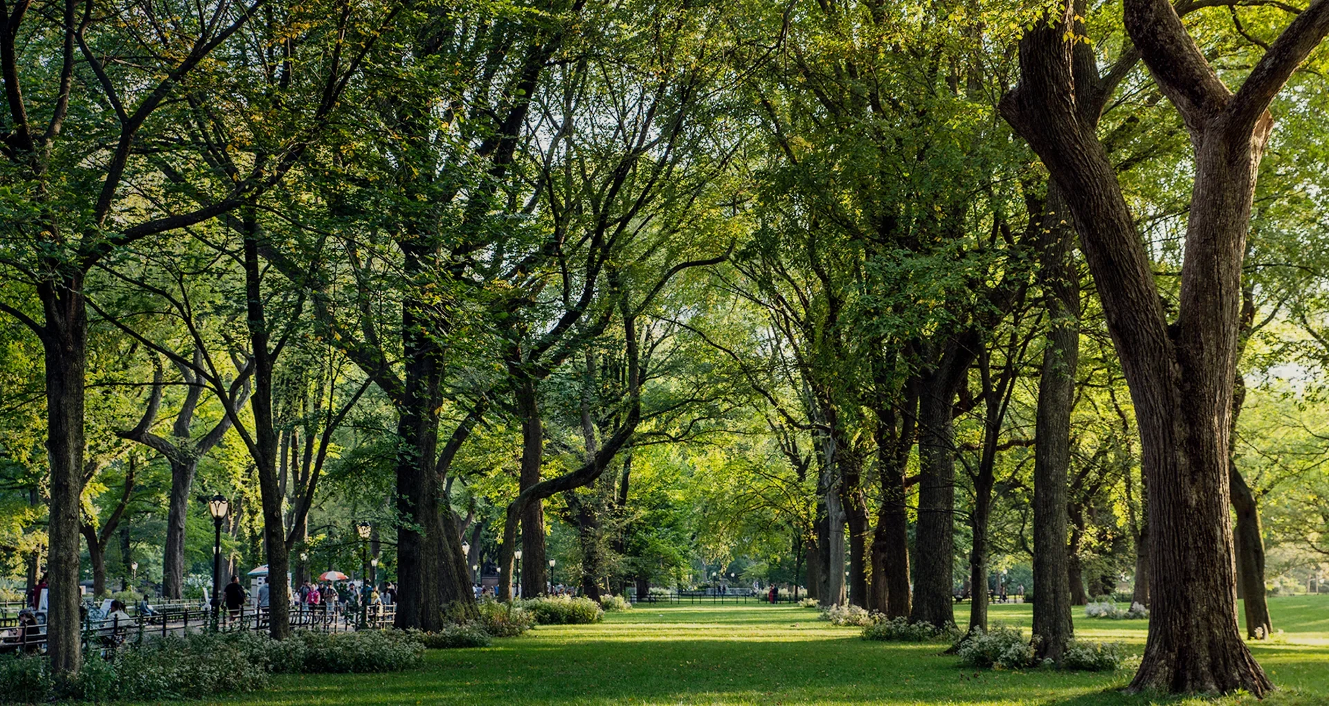 A quiet green park with mature trees steps from The Strathmore NYC condos for sale