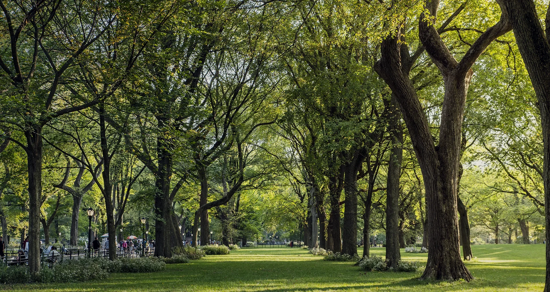 Central park