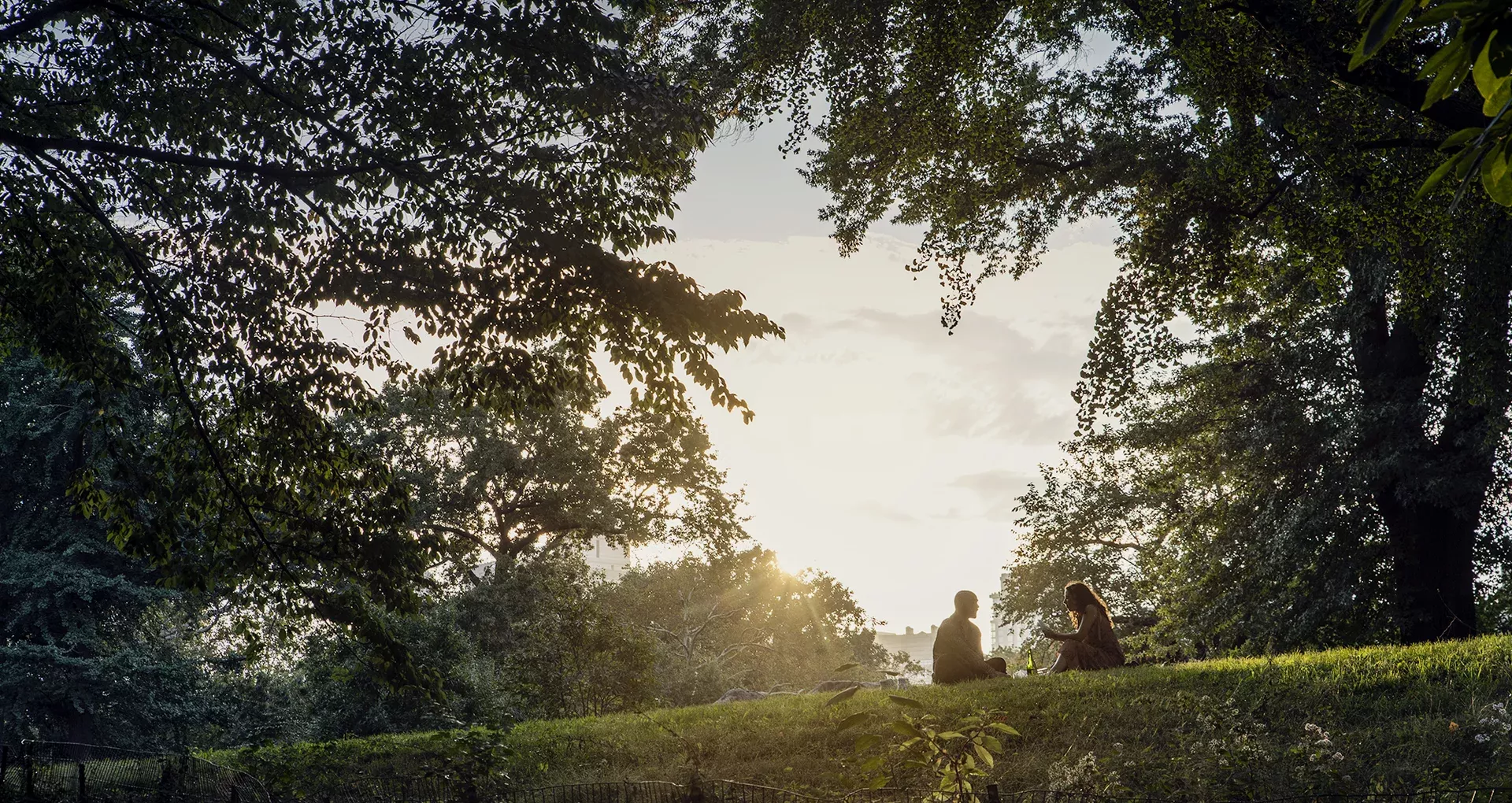 Friends Sitting in Park 